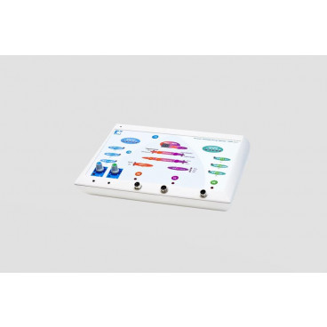 Косметологический аппарат ЭСМА 12.17П РЕВИТАЛЬ