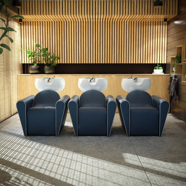 Парикмахерская мойка &quot;Blueswash Electro&quot;