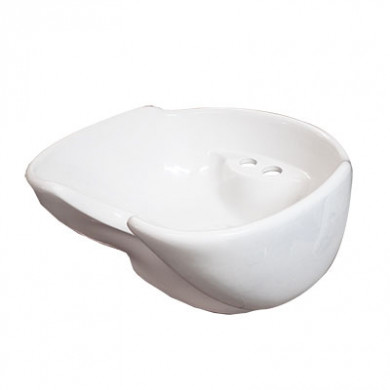 белая ракушка