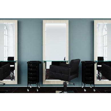 Парикмахерский комплект &quot;ZARA&quot;