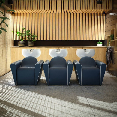 Парикмахерская мойка &quot;Blueswash Electro&quot;